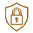Secure Icon